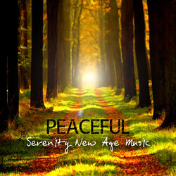 Energy Flows in Me (New Age)