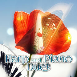 Piano Sonata No. 2 in D Minor, Op. 14: I. Allegro ma non troppo