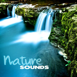 Mountain Stream (Flute Music)