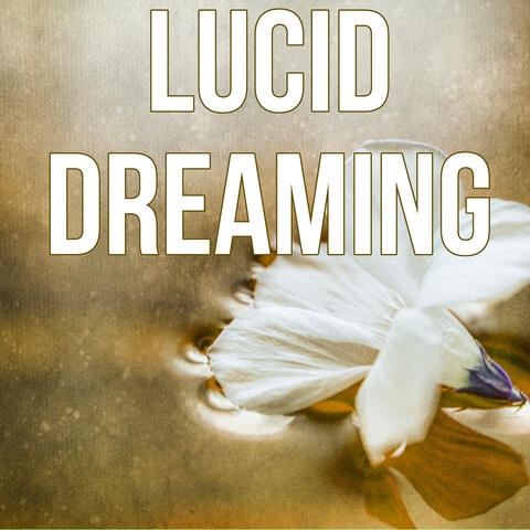 Lucid Dreaming - Yoga & Relaxation Meditation, Music to Help You Sleep, Soothing Background Music, Restful Sleep, Inner Peace