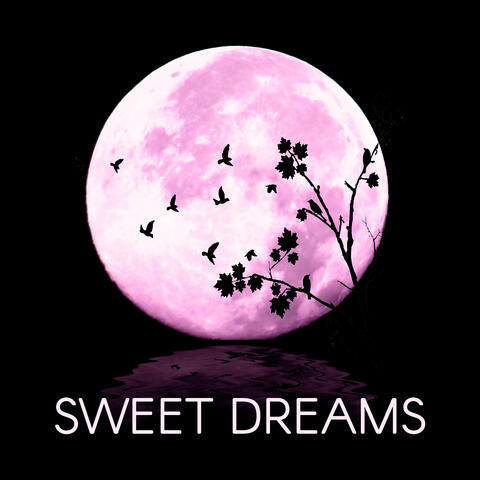 Sweet Dreams - Relaxing Background Music and Nature Sounds, Lullabies with Ocean Sounds Baby