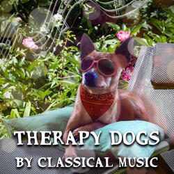 Nocturne in F-Sharp Minor, Op. 48, No. 2