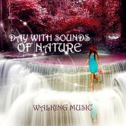 Soothing Nature Sounds