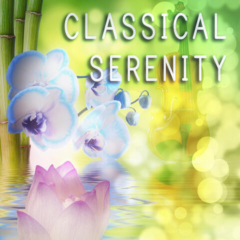 Classical Serenity Music Collection - Beethoven, Mozart Relaxing Songs with Piano, Wolfgang Mozart Classics for Your Mind, Ludwig Beethoven Songs
