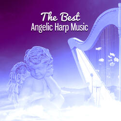 Violin Sonata No. 1 in G Minor, BWV 1001: I. Adagio (Harp Version)