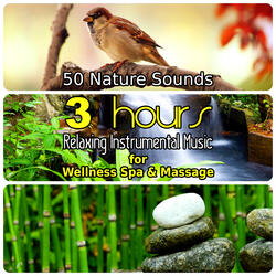 Relaxing Music for Welness Spa & Massage