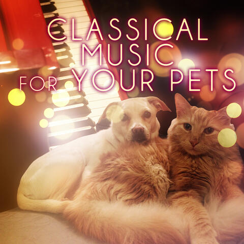 Classical Music for Your Pets – Soothing Music While You Are Out, Relaxing Piano Music for Dogs, Cats & Other Friends, Calming Down Your Pets with Classics, Music for Puppies & Kittens