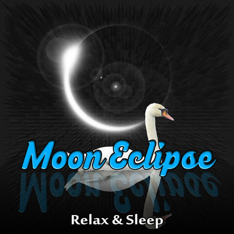 Moon Eclipse Ensemble