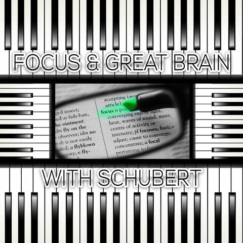 Focus & Great Brain with Schubert – Brainstorm, Classical Music for Deep Concentration, Logical Thinking, Exam Study Music, Increase Brain Power, Mindfulness, Study Skills
