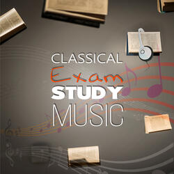 Piano Quartet in E-Flat Major, K. 493: II. Larghetto