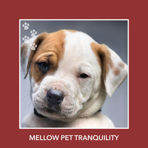 Mellow Pet Tranquility