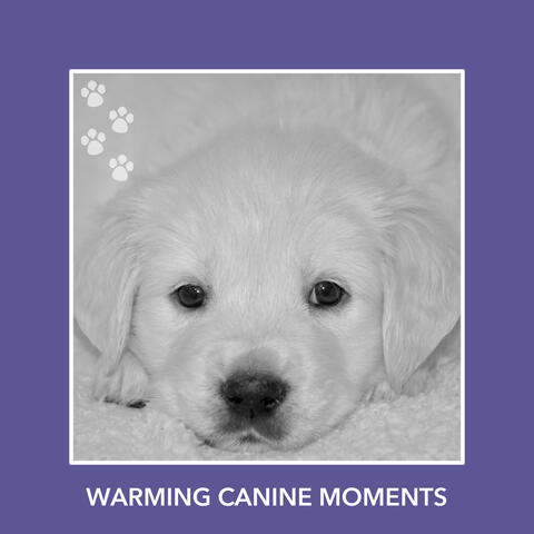 Warming Canine Moments