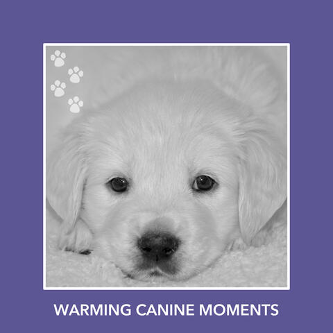 Warming Canine Moments