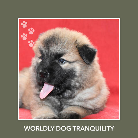 Worldly Dog Tranquility
