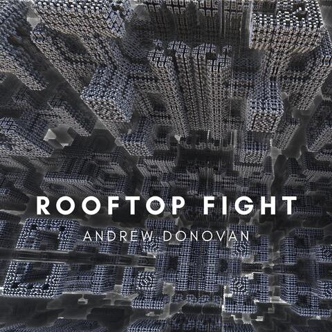 Rooftop Fight
