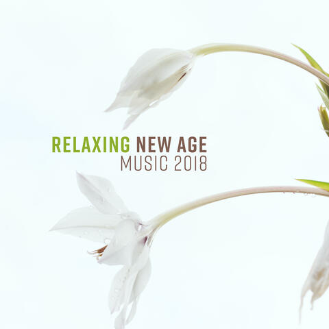 Relaxing New Age Music 2018