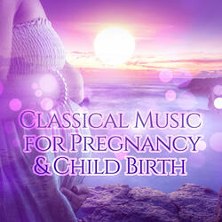 Toccata and Fugue in F Major, BWV 540: I. Prelude (Strings Version)