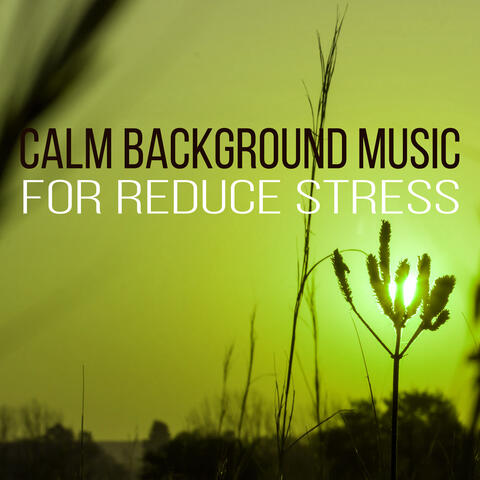 Calm Background Music for Reduce Stress - Sounds of Nature, Morning Meditation, Wake Up, Positive Attitude to the World, Morning Coffee, Yoga