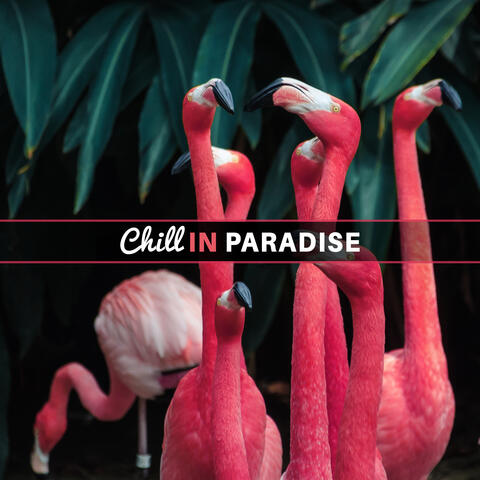 Chill in Paradise – Calming Waves, Chill Out Beach Lounge, Tropical Island Music