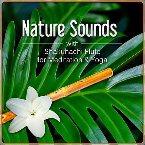 Nature Sounds with Shakuhachi Flute for Meditation & Yoga – The Ultimate Ambient Zen Flute Music for Relax and Stress Management
