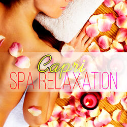 Mind, Body and Soul (Relaxation Music)