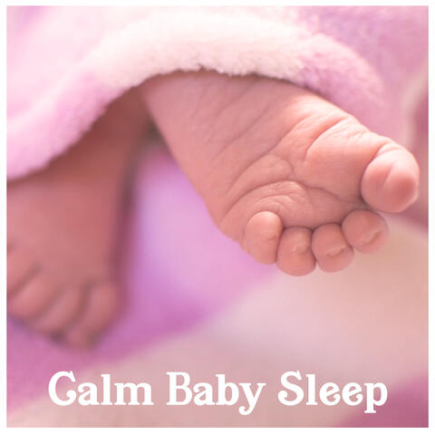 Baby Sleep Lullaby Academy