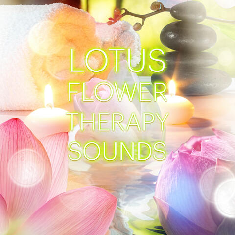 Lotus Flower Academy