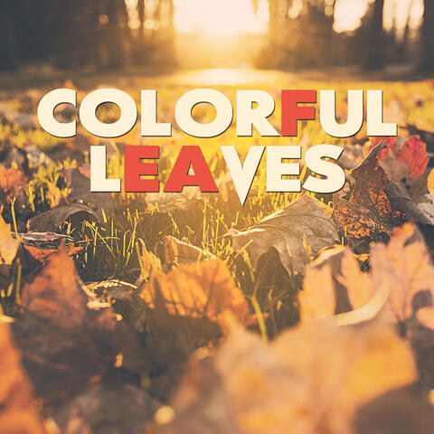 Colorful Leaves - Time Meditations, Falling Chestnuts, Changing, Approaching Winter, Variable Wind