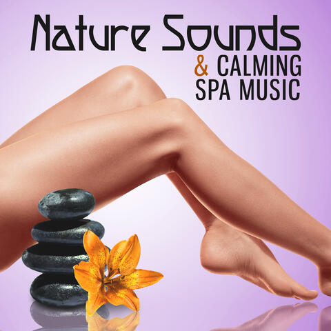 Serenity Spa: Music Relaxation