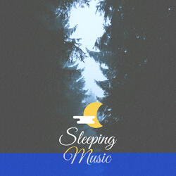 Relaxing Forest Music