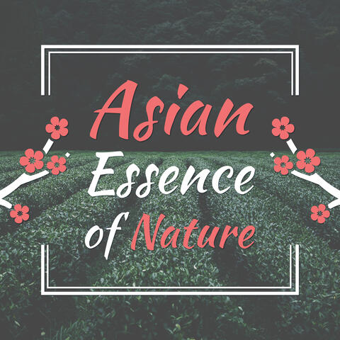 Asian Essence of Nature – Infuence, Sound, Noice Nature, Garden