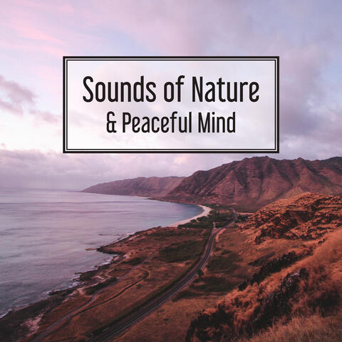 Sounds of Nature & Peaceful Mind – Soft Music to Rest, Asian Zen, Relief, Calm Down, Zen, Calming Melodies for Listening