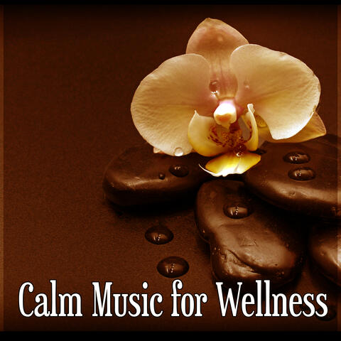 Calm Music for Wellness – Calm Music for Spa, Wellness Relaxation, Massage Piano Music, Aromatherapy Music