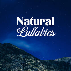 White Noise Relaxation