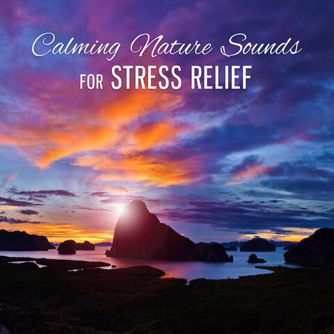 Calming Nature Sounds for Stress Relief – Soothing New Age Sounds, Music to Calm Down, Water Sounds, Singing Birds