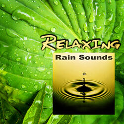 Rain Sounds (Relaxation)