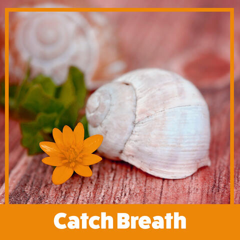Catch Breath - After a Week at Work, Nice Time, Cool Treatments, Mask and Massage, Essential Oils, Aromatherapy and Quiet Sounds