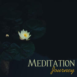 Celestial Journey