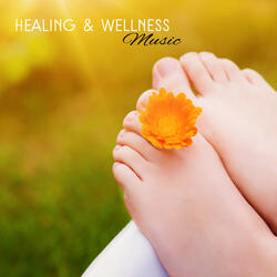 Relaxing Zen Music for Spa