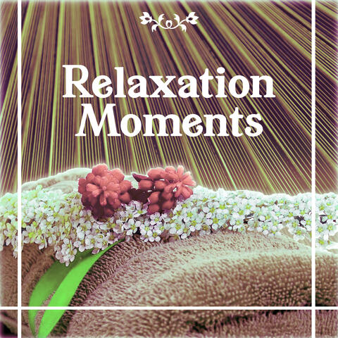 Relaxing Spa Music Zone