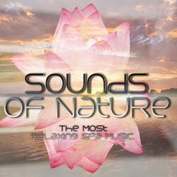 Spa Healing Water (Soft Music)