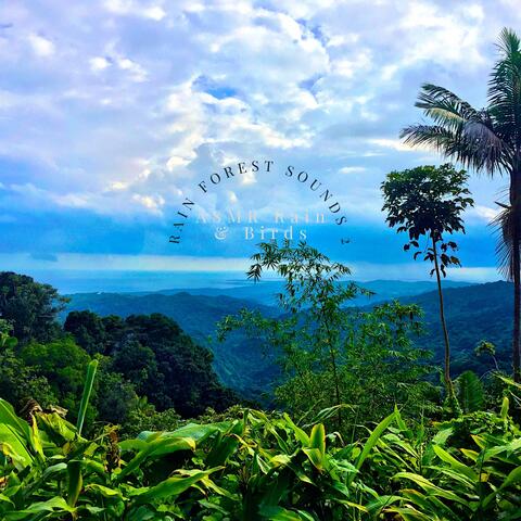 Rain Forest Sounds 2
