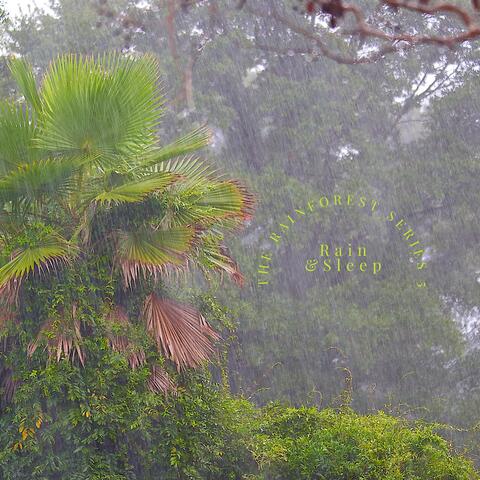 The Rainforest Series 5