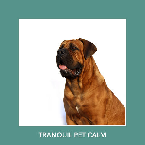 Tranquil Pet Calm