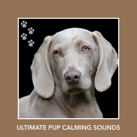 Ultimate Pup Calming Sounds