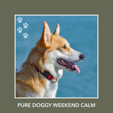 Pure Doggy Weekend Calm