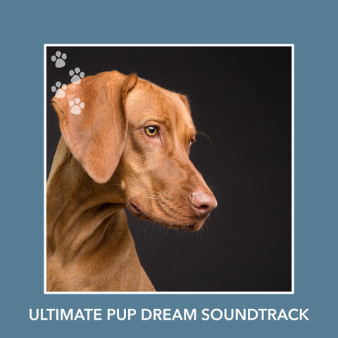 Ultimate Pup Dream Soundtrack