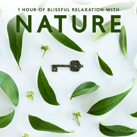 1 Hour of Blissful Relaxation with Nature