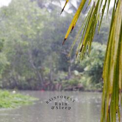 Rainforest Sleep Help 13