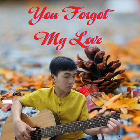 You Forgot My Love